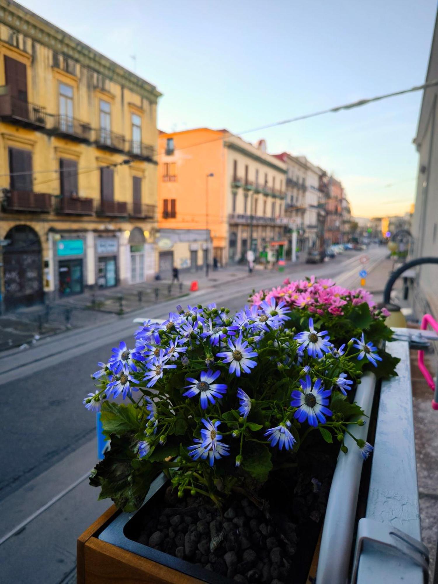 Casamira B&B Napoli Centrale Екстер'єр фото